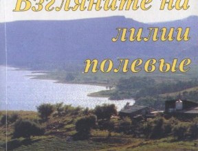 Взгляните  на лилии полевые…